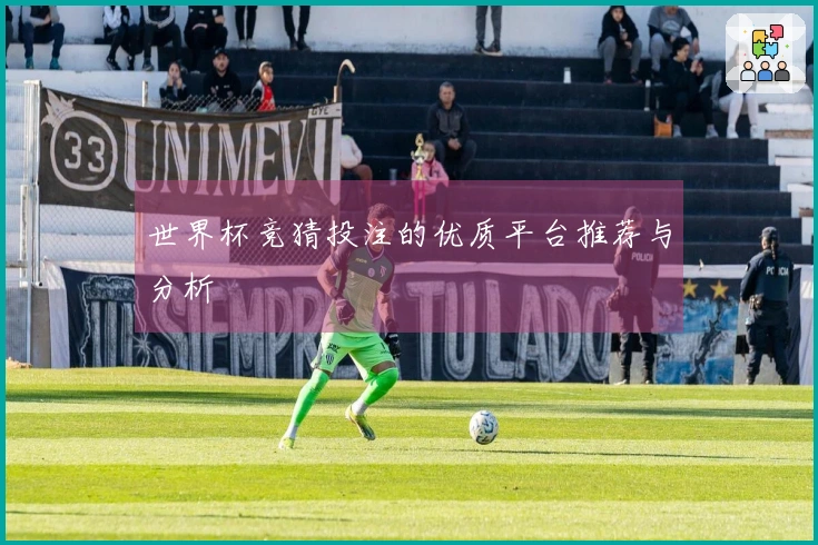 世界杯竞猜投注的优质平台推荐与分析