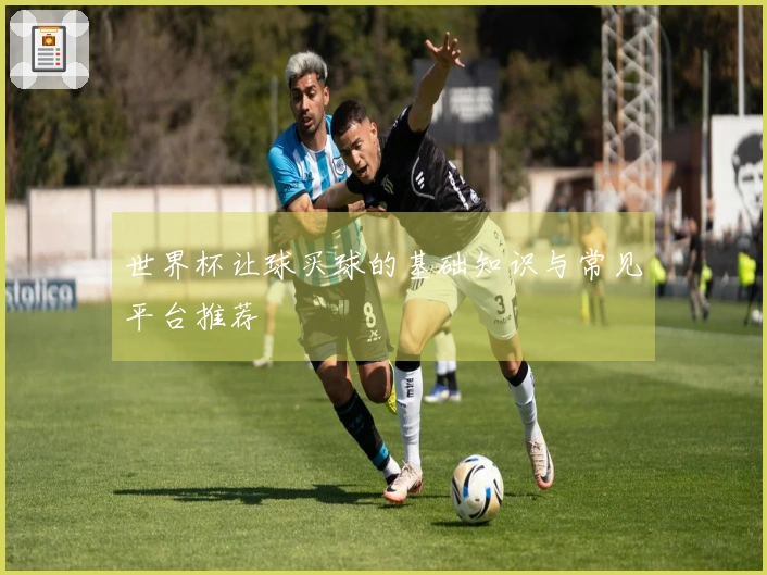 世界杯让球买球的基础知识与常见平台推荐
