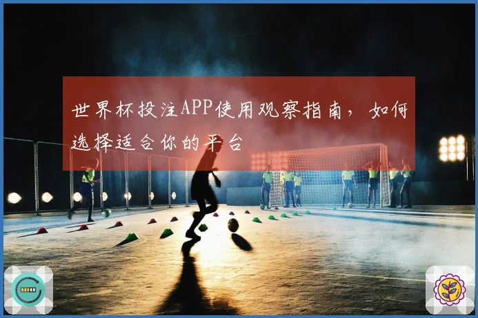 世界杯投注APP使用观察指南，如何选择适合你的平台