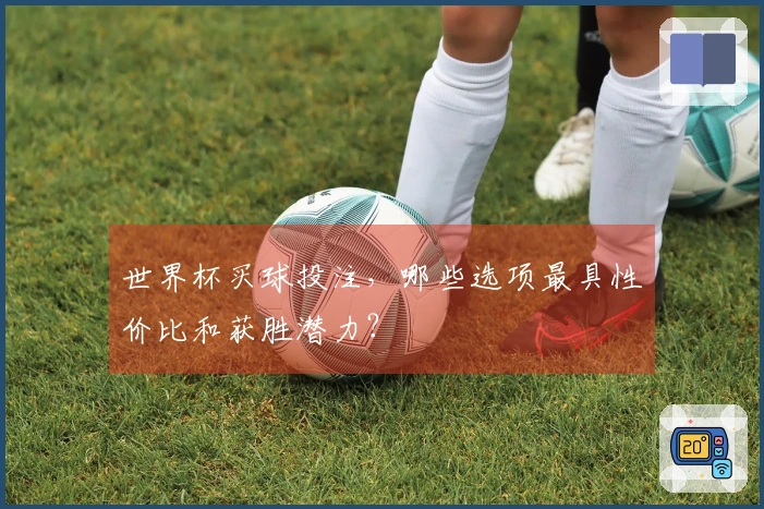 世界杯买球投注，哪些选项最具性价比和获胜潜力？