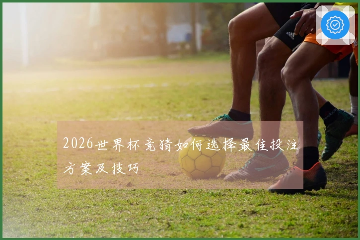 2026世界杯竞猜如何选择最佳投注方案及技巧