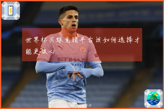 世界杯买球竞猜平台该如何选择才能更放心