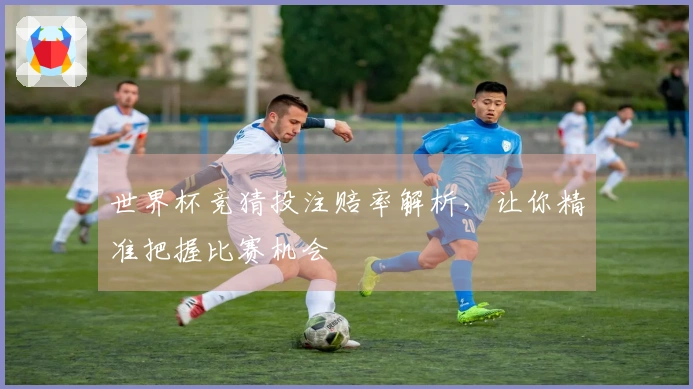 世界杯竞猜投注赔率解析，让你精准把握比赛机会