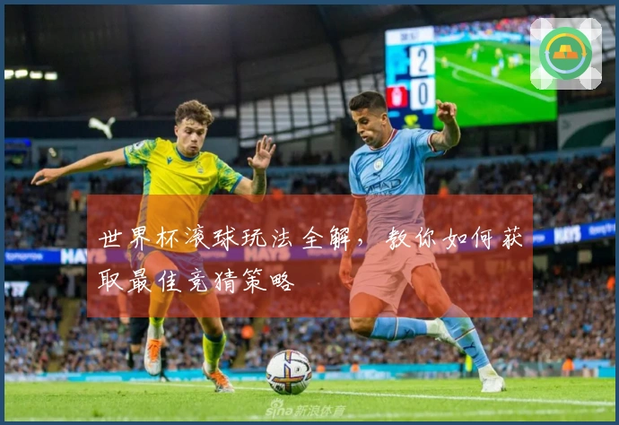 世界杯滚球玩法全解，教你如何获取最佳竞猜策略