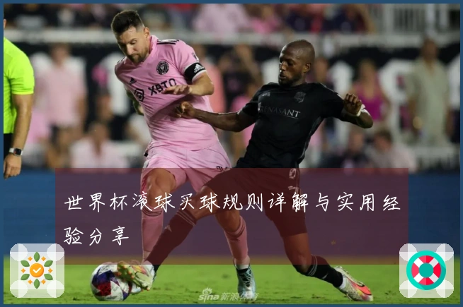 世界杯滚球买球规则详解与实用经验分享