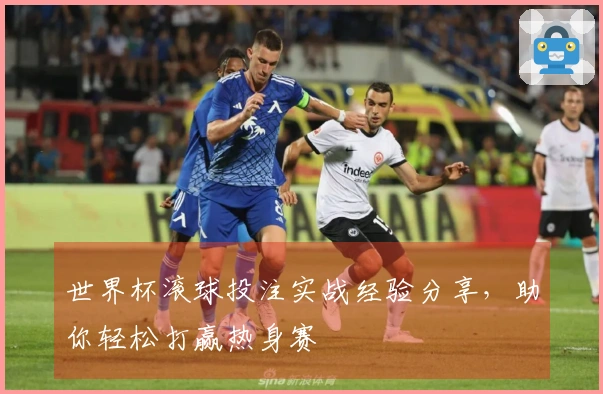 世界杯滚球投注实战经验分享，助你轻松打赢热身赛