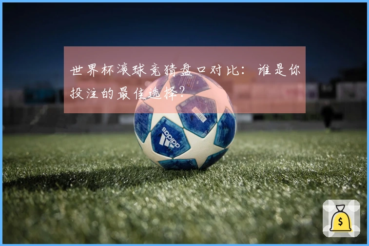 世界杯滚球竞猜盘口对比：谁是你投注的最佳选择？