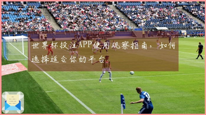 世界杯投注APP使用观察指南，如何选择适合你的平台
