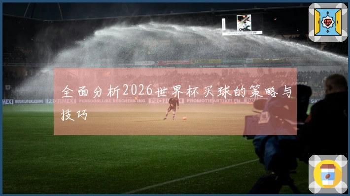 全面分析2026世界杯买球的策略与技巧
