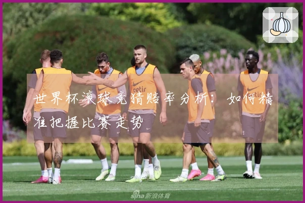 世界杯滚球竞猜赔率分析：如何精准把握比赛走势