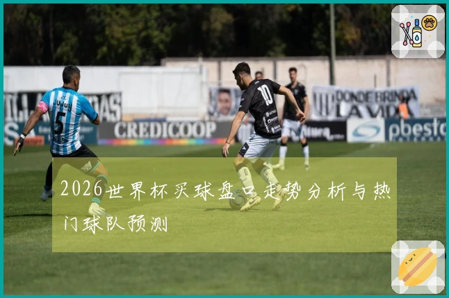 2026世界杯买球盘口走势分析与热门球队预测
