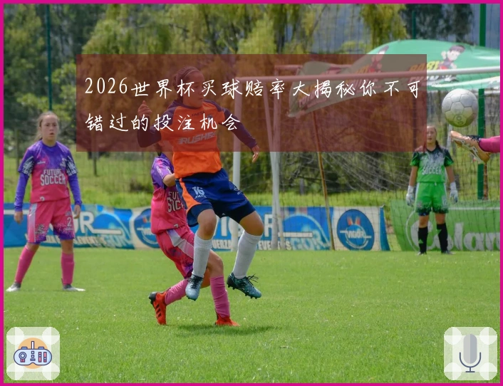 2026世界杯买球赔率大揭秘你不可错过的投注机会