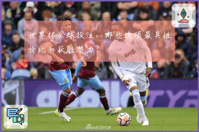 世界杯买球投注，哪些选项最具性价比和获胜潜力？