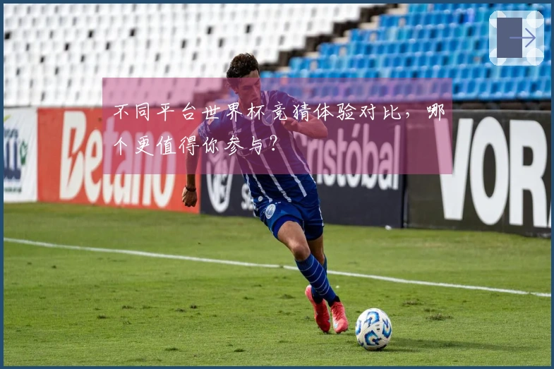 不同平台世界杯竞猜体验对比，哪个更值得你参与？
