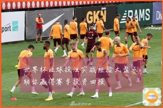 世界杯让球投注实战经验大盘点，助你赢得赛季投资回报