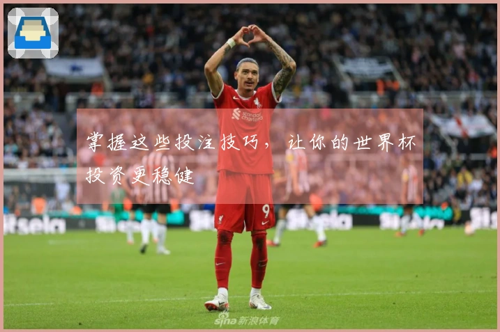 掌握这些投注技巧，让你的世界杯投资更稳健