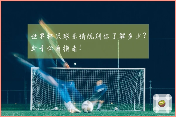 世界杯买球竞猜规则你了解多少？新手必看指南！