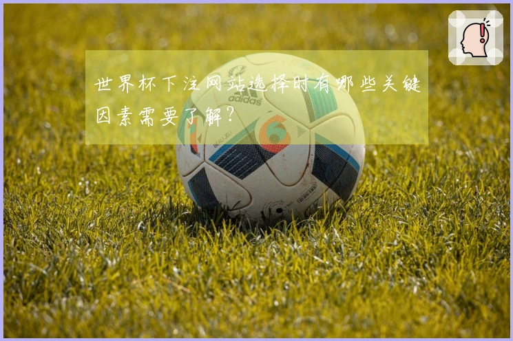 世界杯下注网站选择时有哪些关键因素需要了解？