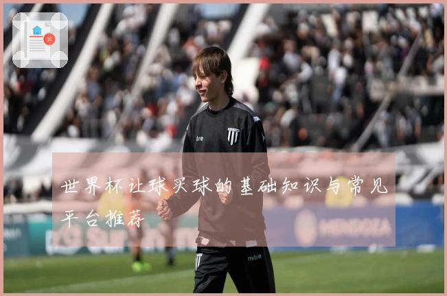 世界杯让球买球的基础知识与常见平台推荐