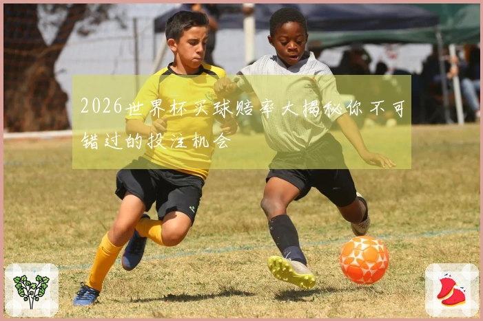 2026世界杯买球赔率大揭秘你不可错过的投注机会
