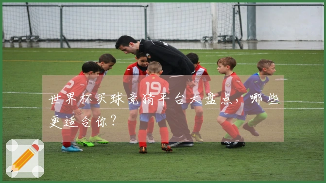 世界杯买球竞猜平台大盘点，哪些更适合你？