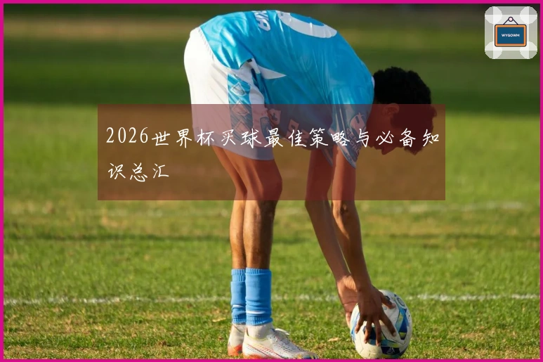 2026世界杯买球最佳策略与必备知识总汇