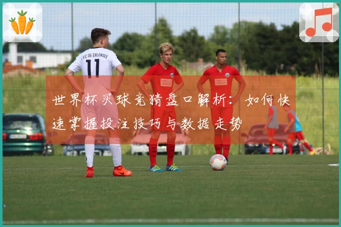 世界杯买球竞猜盘口解析：如何快速掌握投注技巧与数据走势