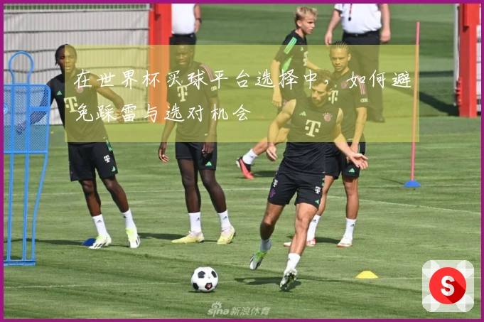 在世界杯买球平台选择中，如何避免踩雷与选对机会