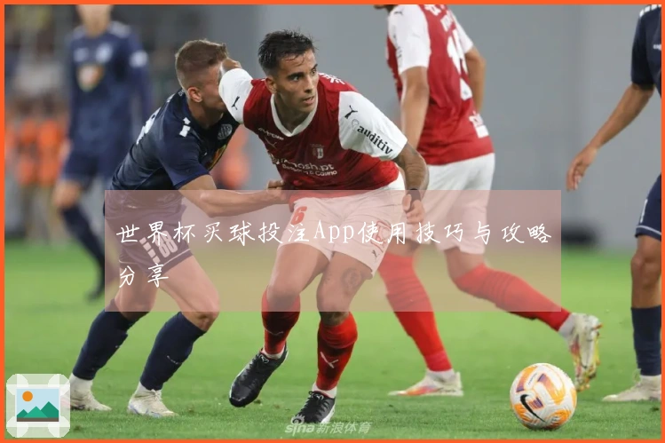 世界杯买球投注App使用技巧与攻略分享